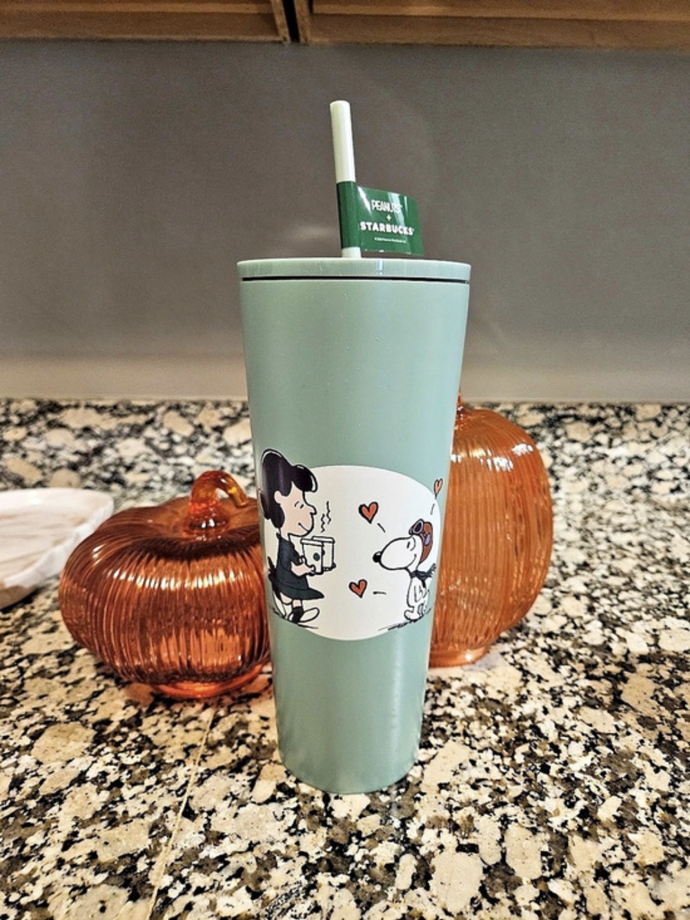 Starbucks Peanuts x Starbucks Lucy & Snoopy Stainless Steel Cold Cup NWT